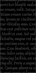 Lorem Ipsum