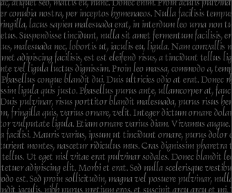 Lorem Ipsum 2